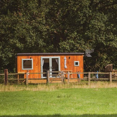 The Hideaway At Hiddenwood Glamping Hotel Corsley Ngoại thất bức ảnh
